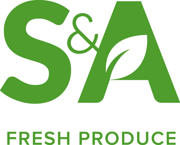 SA logo case study